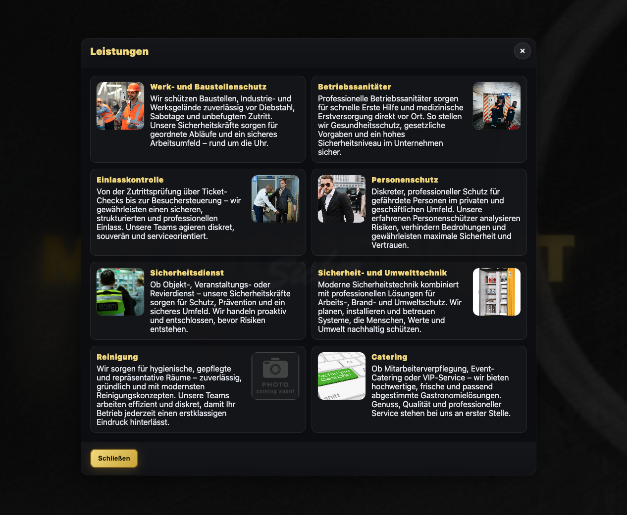 RWS Ronin project preview